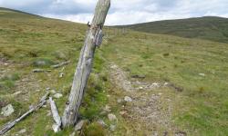 Eine langgezogene Wanderung