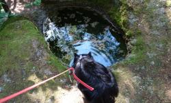 Mo hat das Wasser gefunden, ein Schalenstein.