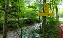 Start Forsthaus Riegelmühle nach Prinzbach