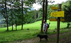 Nach der Alm treffen wir auf den Weitwanderweg 06