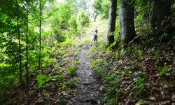 300 hm hinauf in Serpentinen zum Hohenstein 