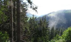 Start Campingplatz Tassenbach durch den Wald nach Hollbruck. 