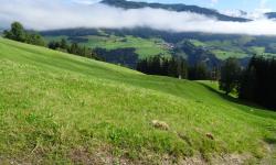 Thurntaler, gegenüber von Hollbruck