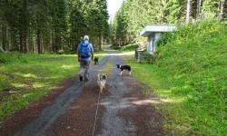 Nach der Ortschaft Hollbruck geht es rechts in den Wald in Hollbrucker Tal