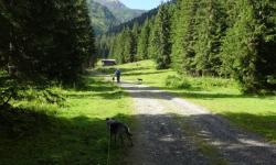 Hollbrucker Tal, am Anfang ein Forstweg