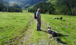 Der Weg (Nr.19) zweigt links ab.