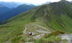 Auf der Kesselscharte kommen wir zu Karnischen Höhenweg