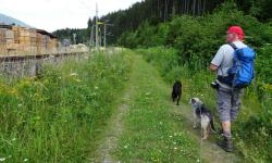 entlang der Bahntrasse wandern wir wieder zurück