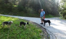 Wir starten beim  Campingplatz Rothenfels und wandern auf der Straße nach Kirchberg.