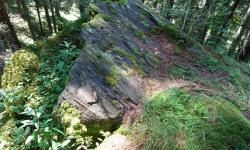 Der 2. Schalenstein.