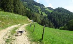 Auf dem Weg weiter nach Oberschützen sehen wir das Gehöft Pichljogl.