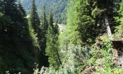 Blick zur Hölzlerhütte