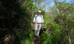 Wir wandern an der Nordseite des Fjordes