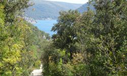 `Wir wandern weiter richtung Osar