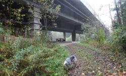 Rastplatz unter der Autobahn
