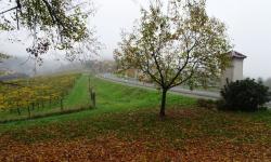 Blick nach Gundersdorf