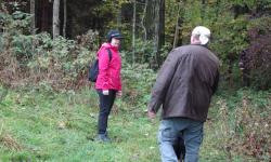 Zachgraben nach Lestein