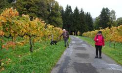 Durch Lestein nach Langegg