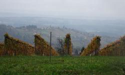 Blick richtung St.Stefan