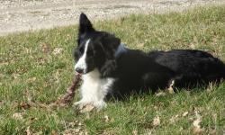 MO am Kreuther Spitz