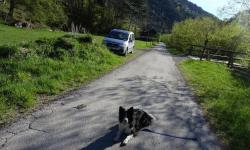 Start Staffbrücke