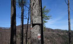 Weißriegel Tafel Schöpfl (893m)
