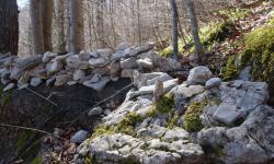 Steinmauer am Weißriegel