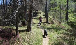 Kammweg zum Veigelkogel