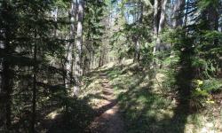 Kammweg zum Veigelkogel