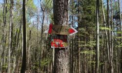 Wegweiser am Veigelkogel