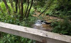  in der Willendorfer Schlucht