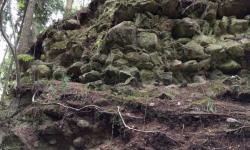 Abstecher zur Burgruine Willersdorf, steil den Berg hinauf