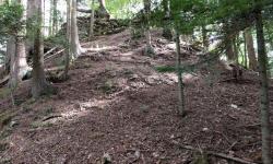 unmarkierter Weg zur Ruine