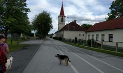 Zurück in Willersdorf
