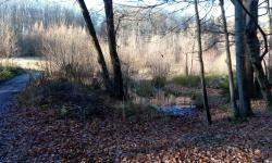 Teich bei "Am Hagen"