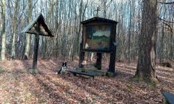 Bildereiche