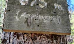 Tafel Anninger 
