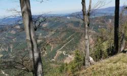 Blick zum Geißruck