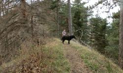 zum Reingupf Gratwanderung