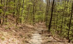 Start Enziansteig in Pernitz