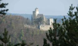 Araburg