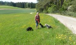 Weiter geht's entlang einer Wiese.