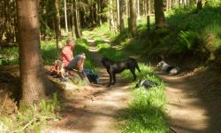 Nach der Ortschaft Brünnmühle geht's wieder durch den Wald zum Lohnbach