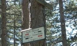 Abzweigung Mareschsteig