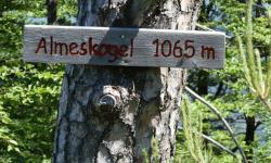 Almeskogel