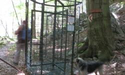 Tür zum Wildgehege