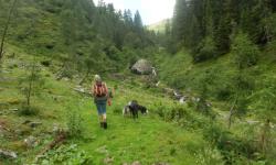 Bei der Abzweigung wandern wir weiter über den Steig links