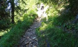Zur Alm Hinterm Brunn ist der Weg am Beginn ein schmaler Steig.