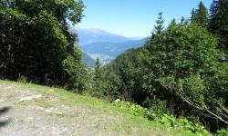 Blick ins Drautal, Steinfeld