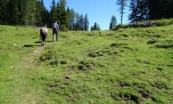 Rauf zum Hochtratten.